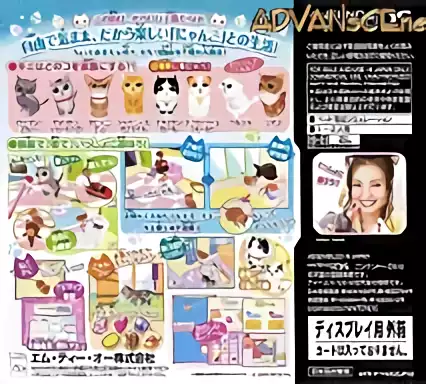Image n° 2 - boxback : Kawaii Koneko DS
